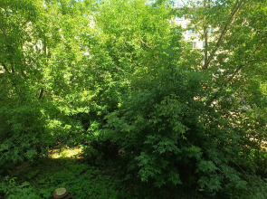 Квартира студия