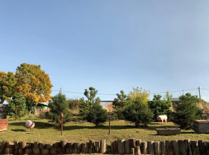 Гостевой Дом у Борисыча