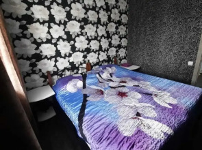 Квартира Елена