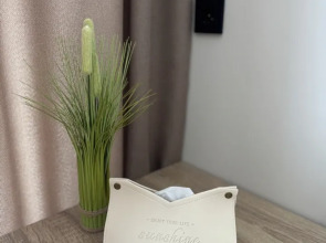 Апартаменты Apart 77 Art