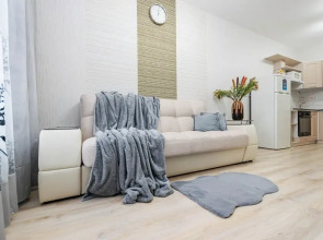 Апартаменты Cosmos Apart на Революции 48 В (1)