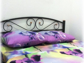 Хостел Muzeyny