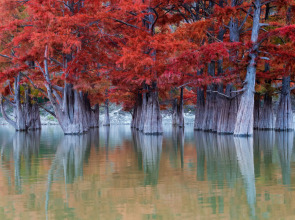 Квартира Holliday House