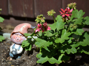 Гостевой дом На Взморье