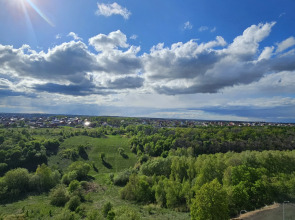 Квартира уютная с видом на березовую рощу