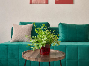 Квартира Дизaйнeрскaя Двушкa с Видoм на Стадион Kрaснoдaр