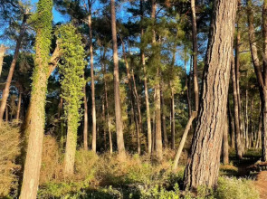 Гостевой дом Леон 10