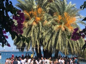 Toka Bodrum Hotel & Beach Club