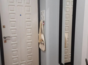 Квартира у Ленты