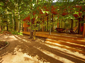 Частный дом Большая Репинская дача в лесу