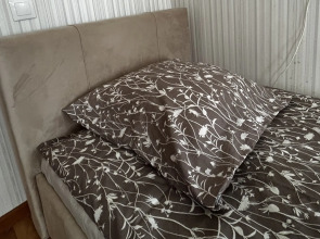 Аппартаменты Дvухкомнатные Золотая роза / Golden rose