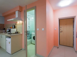 Апартаменты на Гаванской (3)