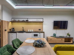 Апартаменты Baden Loft