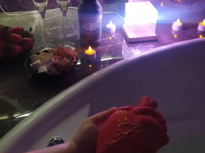 Апартаменты Penthouse Panorama