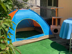 Апартаменты Усадьба