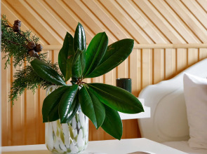 База отдыха Volkov Family