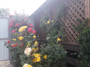 Гостевой дом Песчаный Берег