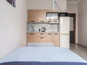 Апартаменты ArtSolnce Санкт-Петербург