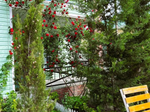 Бутик-отель Fortuna Gabala