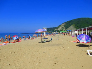 Отель Фламинго