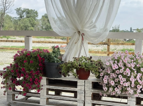 Частный дом Baler