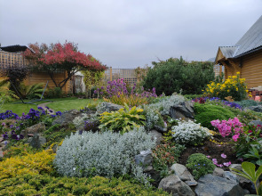 Гостевой Дом Delight