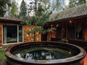 Мини-отель Гуси-Лебеди