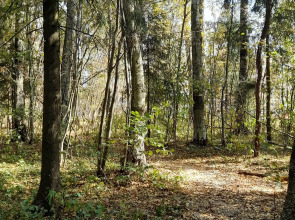 Квартира в ЖК Малая Истра 17