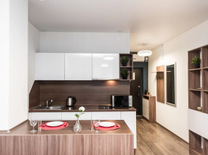 4 Апартаменты Малышева 42А (15)