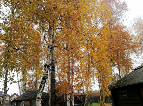 Гостевой дом Окулова Заимка