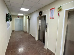 Апартаменты Central Place Vladivostok Премиум с видом на Мосты и Залив (4)