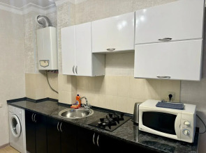 Квартира на Улице Академика Шёгрена 17