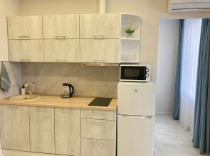 Апартаменты возле Театра и моста, недалеко от центра. Брянская 18.