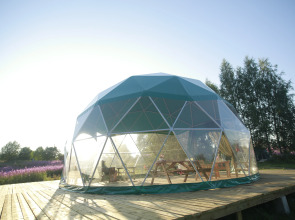 Глэмпинг Папоротник