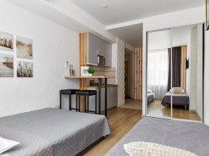 Апартаменты Rush in aparts  в самом сердце Казани Своя мини-кухня wifi  бесконтактное заселение