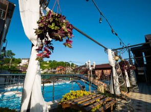 Отель Анютины Глазки