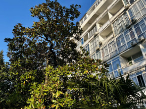 Апартаменты Светлана