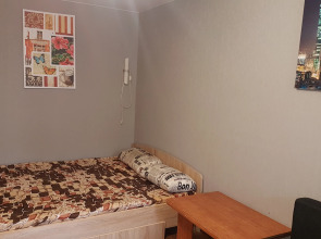 Квартира L.V.Hotels на Льва толстого 91