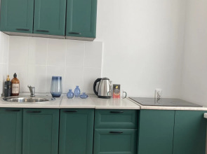 Апартаменты Муринские Пруды Однокомнатная