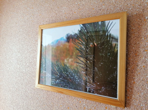 Гостевой Дом Свирский