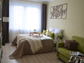 Квартира однокомнатная В гостях у Петербурженки Янино