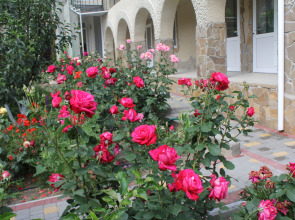 Гостевой Дом Елена