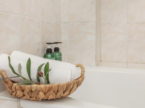 Апартаменты Синяя Птица