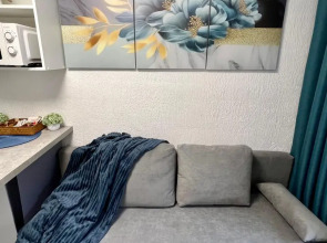 Апартаменты N2 на Петроградке