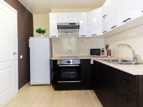 Апартаменты Бизнес класса Квартира у парка Центральный