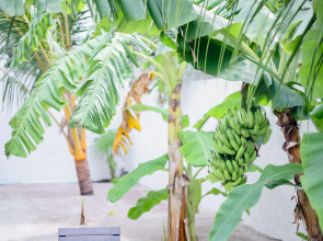 Гостевой дом Belvedere Thoddoo