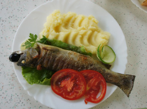 Гостевой дом Лукоморье в Алахадзе