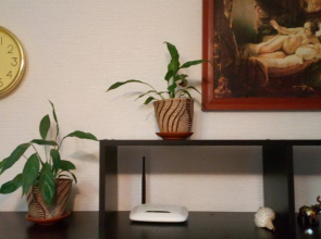 Квартира Елец