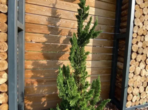 Гостевой дом Дюна