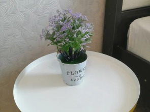 Апартаменты ОЛИМПИЙСКИЙ 13